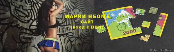 индика Алексеевка