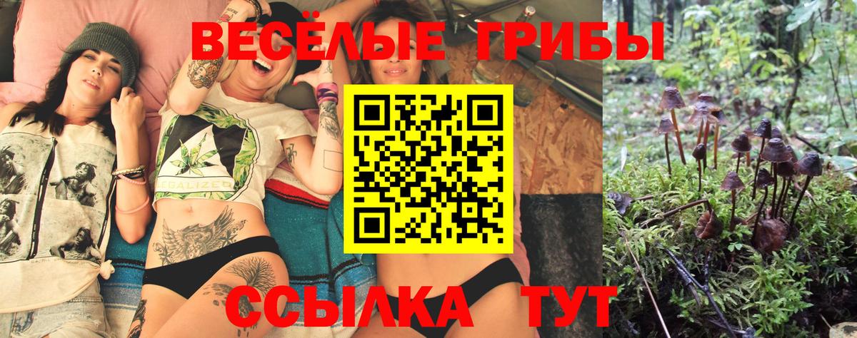Дзержинск  Галлюциногенные грибы GOLDEN TEACHER  Вход с VPN 